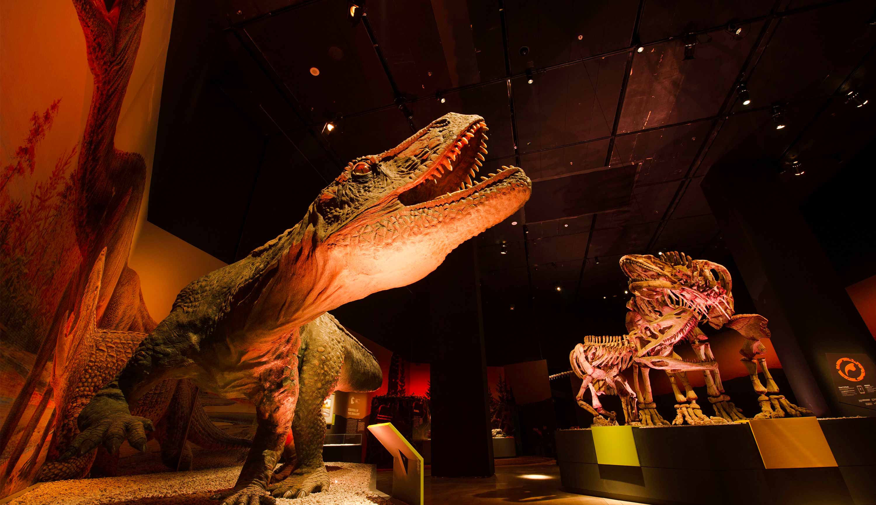 Dinosaurs Dawn to Extinction Exhibit