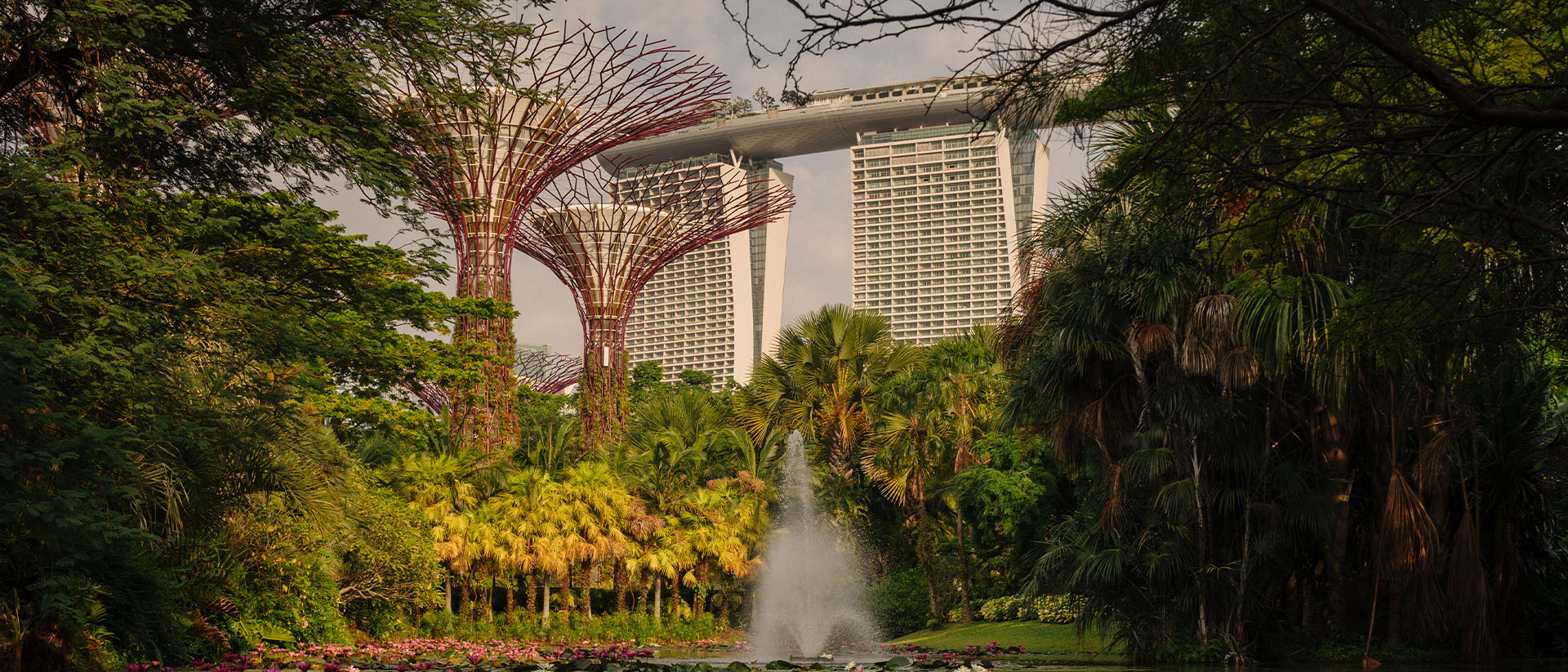 View of Marina Bay Sands from Gardens by the Bay