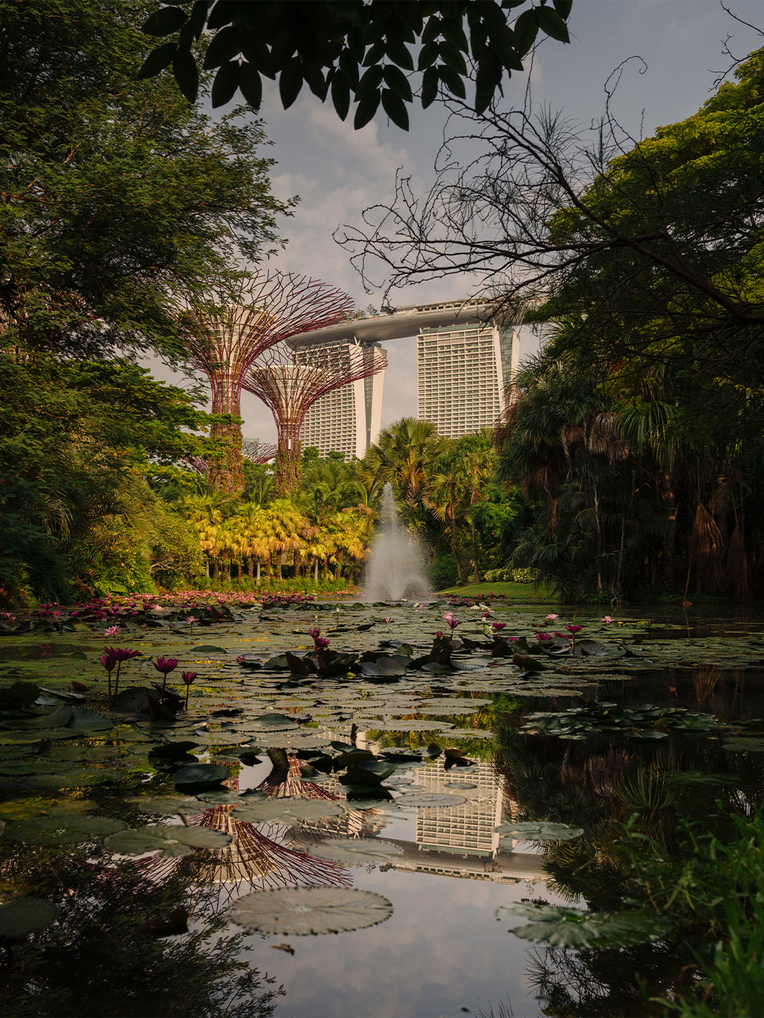 View of Marina Bay Sands from Gardens by the Bay