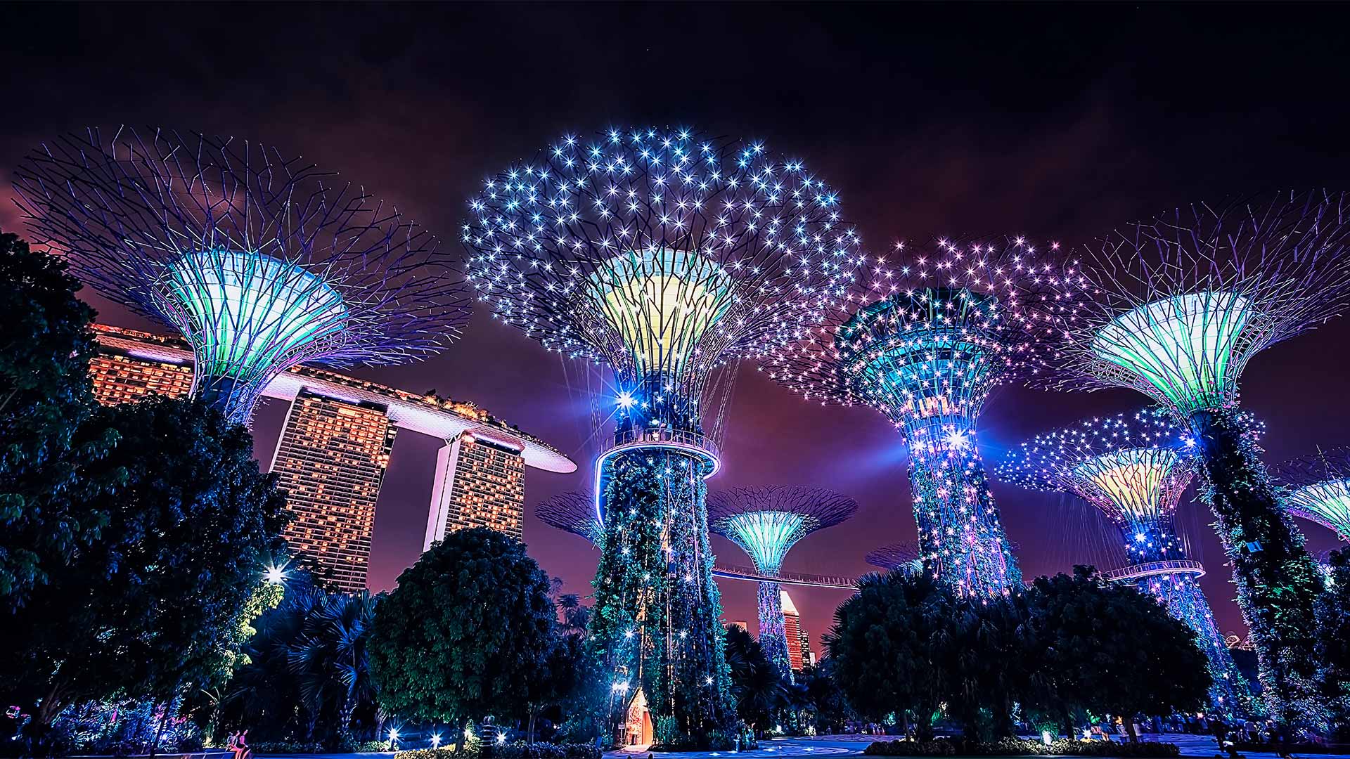 Guide to Gardens by the Bay Singapore | Marina Bay Sands