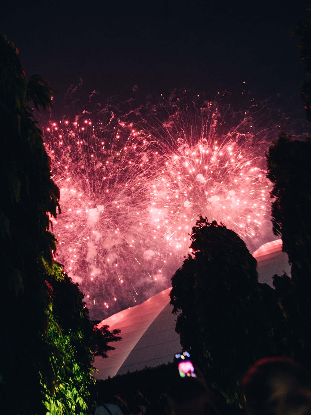 New Year's Eve fireworks illuminating the night sky in Singapore 