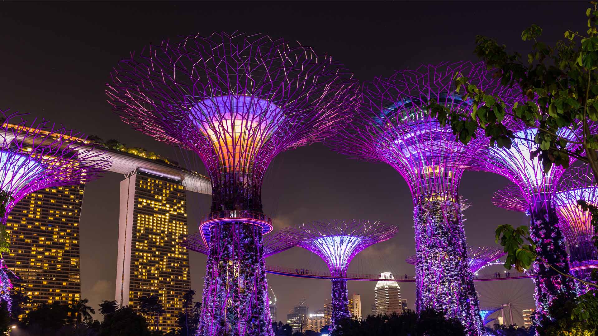 Gardens by the Bay, an attraction to visit in Singapore at night