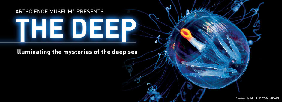 Bloom Association » The exhibition “The Deep” in Singapore